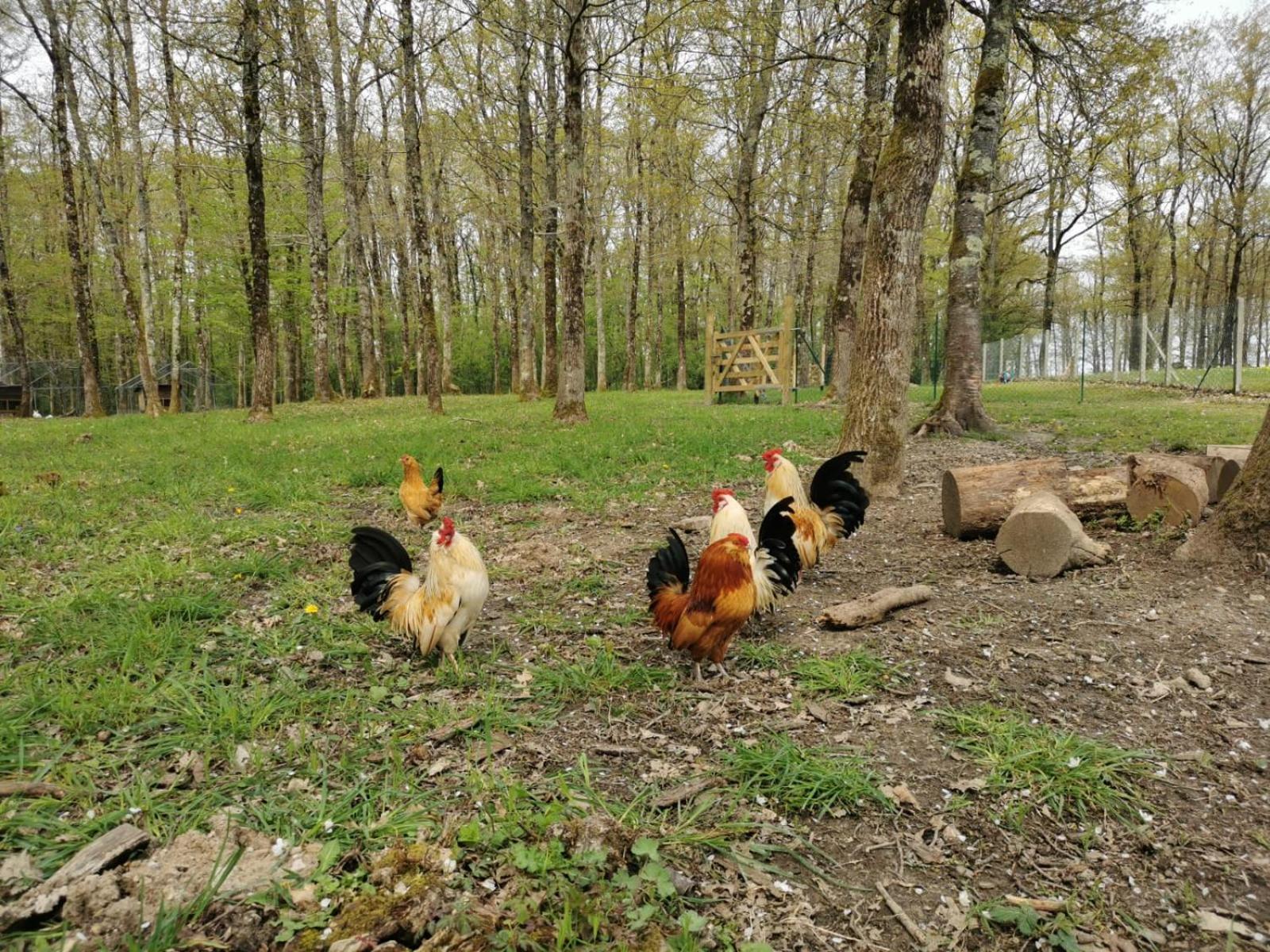 La Parenthese Meslandaise * Mesland